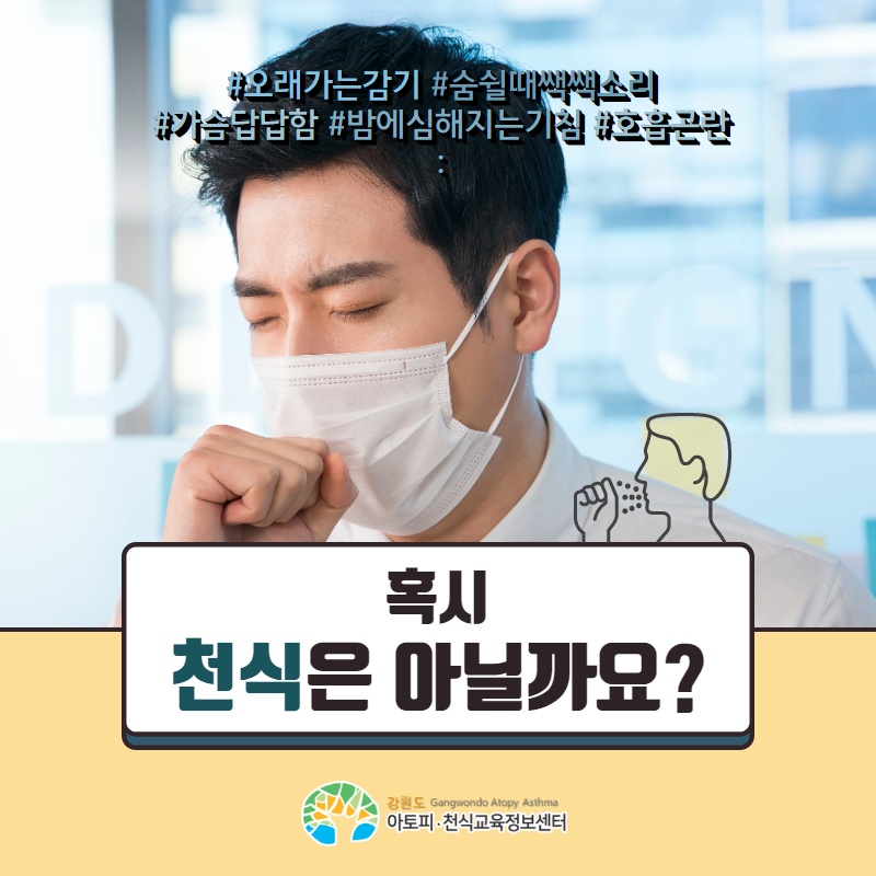 갤러리